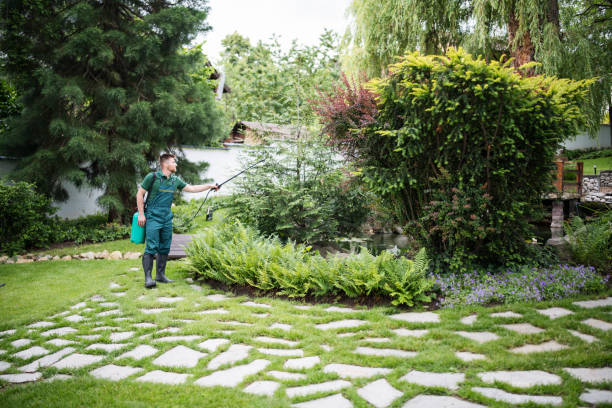 Best Affordable Pest Control Services  in Pine Grove, PA