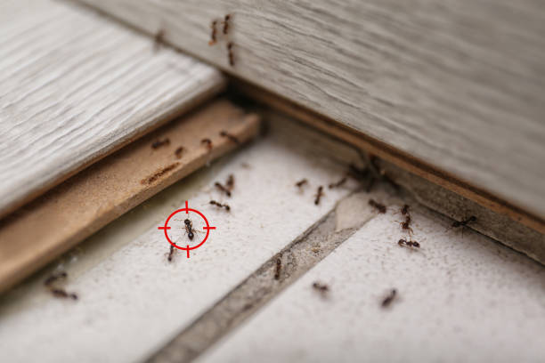 Pine Grove, PA Pest Control Company