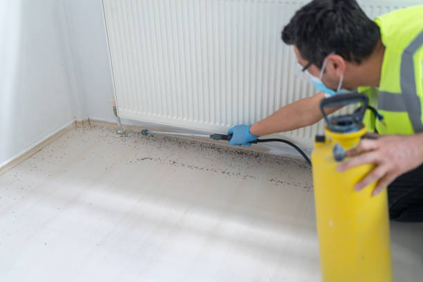 Best Commercial Pest Control Services  in Pine Grove, PA